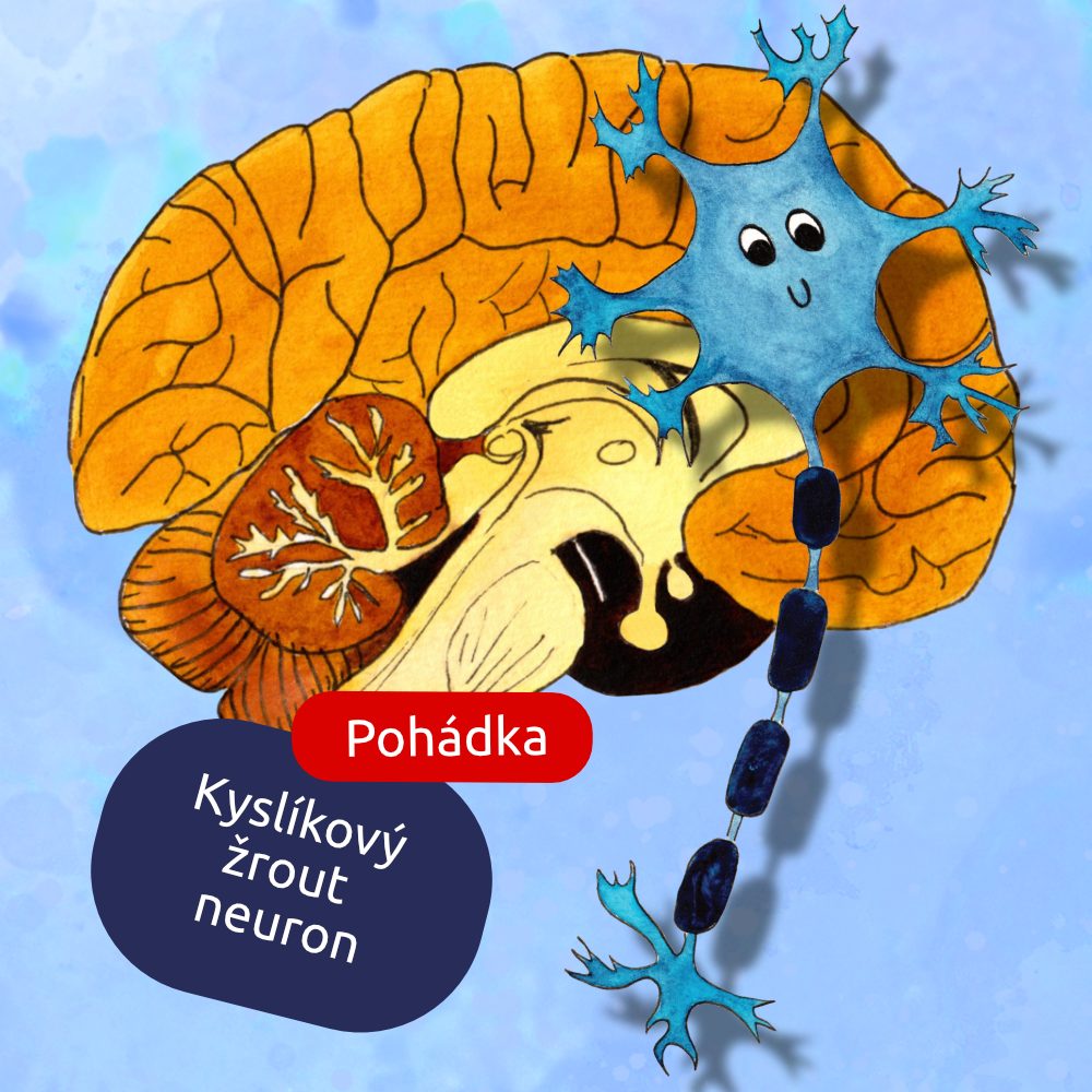 Krvinka a kyslíkový žrout neuron